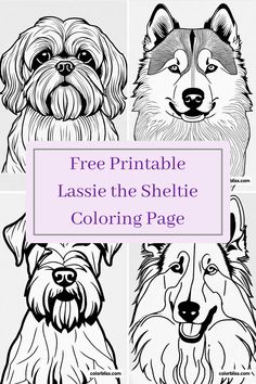 four dogs with the words free printable lassie the sheltie coloring page