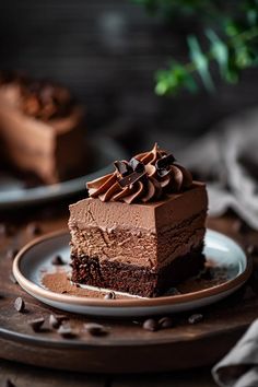 a piece of chocolate cake on a plate