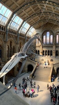 people are walking around in an old building with a whale skeleton hanging from the ceiling