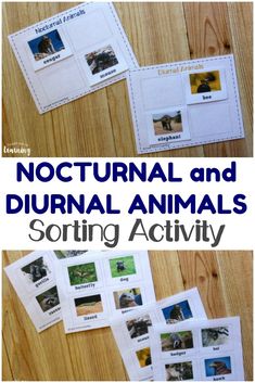 an animal sorting activity with pictures and words to help students learn how to use them