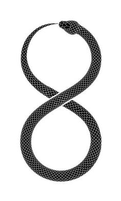 a snake's tail in the shape of an eight, on a white background