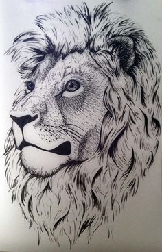 a black and white drawing of a lion's head