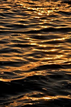 the sun shines brightly in the water as it reflects on the surface of the water