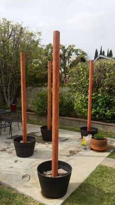 several potted plants are placed in the middle of a patio area with wooden posts