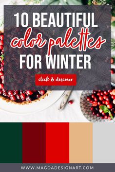 the top 10 beautiful color palettes for winter