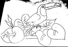 a black and white drawing of fruit with a toucan sitting on the branch