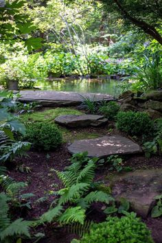 a garden with rocks, ferns and water in the background is an image of a stream