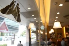 a group of people sitting at tables in front of a restaurant with lights hanging from the ceiling