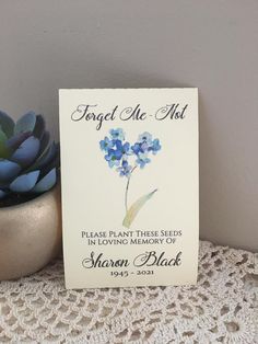 there is a small blue flower next to a potted plant on a doily