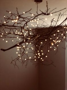 a tree branch with lights hanging from it's branches in front of a mirror