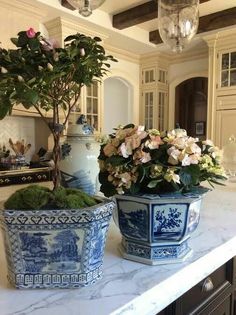 two blue and white planters sitting on top of a counter