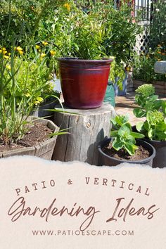 some potted plants sitting on top of a wooden stump in the middle of a garden