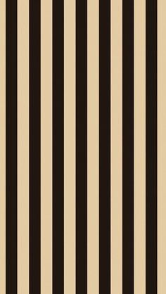 a black and beige striped wallpaper with vertical lines in the center, as well as horizontal stripes