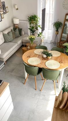 a living room filled with lots of furniture and plants on top of it's tables