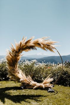 a wreath made out of dried grass in the middle of a field with mountains in the background