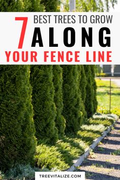 a row of trees with the words 7 best trees to grow along your fence line