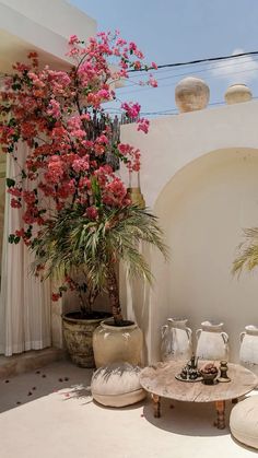 a potted plant sitting on top of a table next to two vases filled with flowers