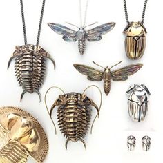 Assistant Professor, Molecular Biology, Insect Jewelry, Insect Art, Biochemistry, Found Object, Pretty Jewellery