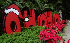 red and white holiday decorations on display in front of bushes