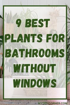 bathroom with potted plants and the words 9 best plants for bathrooms without windows