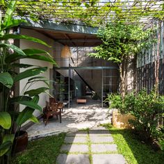 an outdoor area with green plants and trees