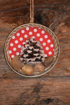 a glass ornament filled with pine cones and rocks