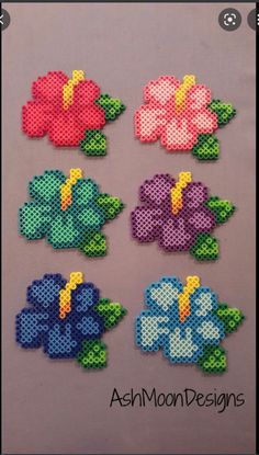 some flowers made out of perler beads are on the screen, and there is an instagramr