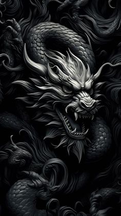 a black and white image of a dragon