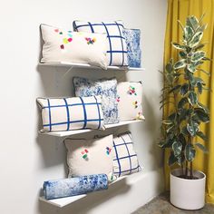 four pillows are hanging on the wall next to a potted plant