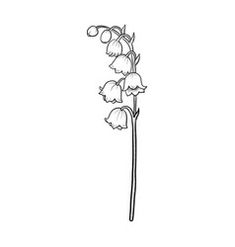 a drawing of a flower on a white background