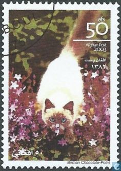 a postage stamp with a cat on it