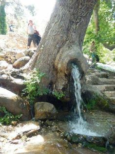 two people standing next to a large tree with a waterfall coming out of the ground