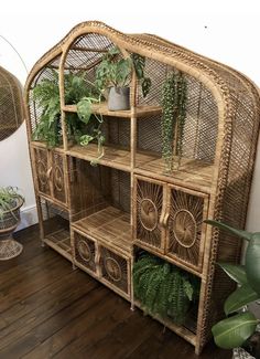 a wicker shelf with plants in it on top of a wooden floor next to a potted plant