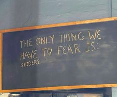 a sign that says the only thing we have to fear is spider's,