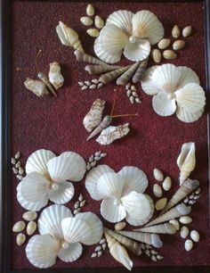 seashells and seaweed are arranged in a shadow box on a red carpet