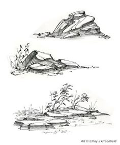 two drawings of rocks and plants in the water