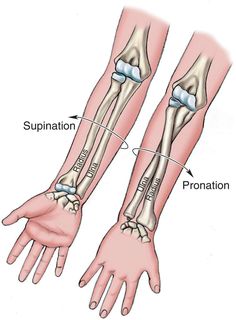 Pilates Anatomy, Punkty Spustowe, Medical Terminology Study, Muzică Rock, Human Skeleton Anatomy, Radiology Student, Anatomy Bones, Medical School Life