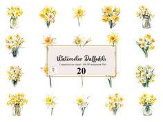 the watercolor daffodils are arranged in different sizes and colors, including yellow