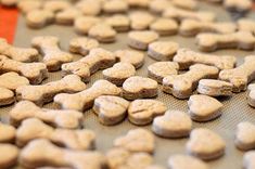 there are many dog treats on the trays ready to be baked into their own