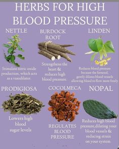 Herbs For High Blood Pressure, Witch's Apothecary, Benefits Of Herbs, Medicinal Herbs Remedies, Herbal Education, Cosmic Connection, Herbal Remedies Recipes, Medicinal Herbs Garden, Medical Herbs