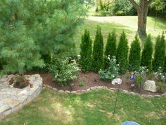 a garden with rocks and trees in the back yard, surrounded by green grass on both sides