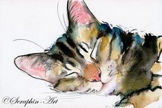 a watercolor painting of a cat sleeping with its head on it's paw