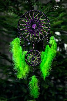 a purple and green dream catcher hanging from a tree