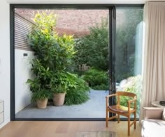 a living room filled with furniture and lots of plants