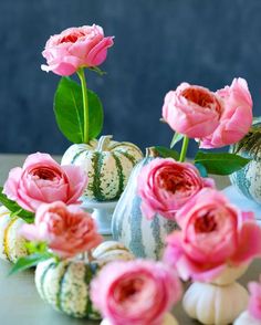 some pink flowers are in vases on a table with shells and seashells