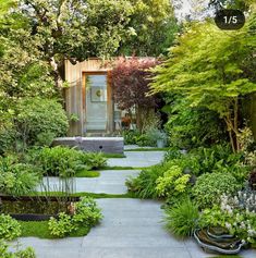 a garden with lots of plants and trees