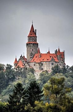 an old castle on top of a hill surrounded by trees