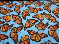 many orange butterflies on a blue background