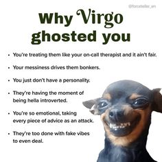 a poster with an image of a dog's face and the words, why virgo ghosted you?