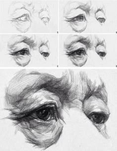 the steps to drawing an eye with pencils on paper, including eyes and hands